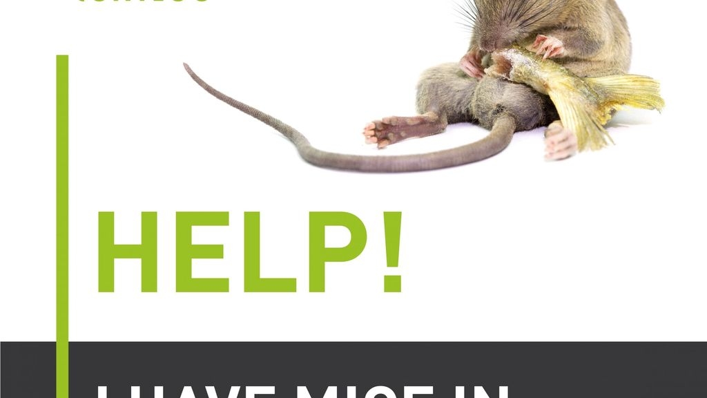Help! I have Mice in My Takeaway!