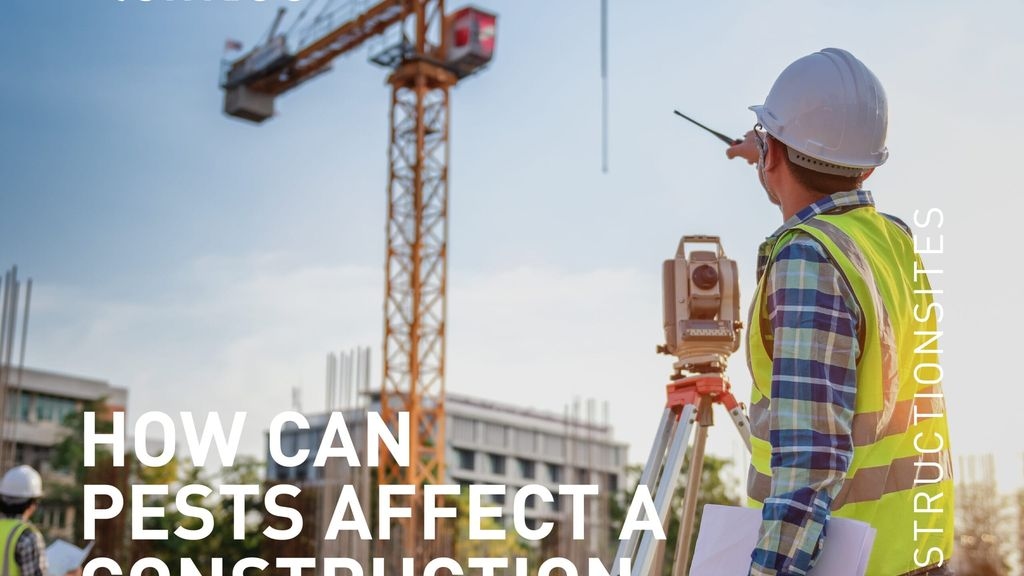 How Can Pests Affect A Construction Site