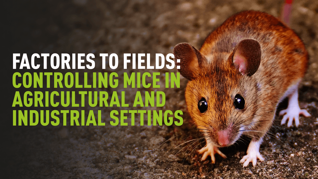 Factories to fields_Controlling Mice in Agricultural and Industrial Settings