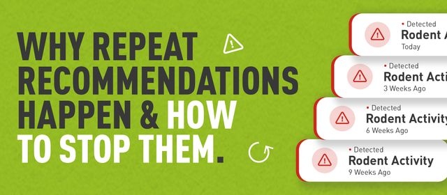 Graphic with the text “Why repeat recommendations happen & how to stop them.” alongside a series of recurring rodent activity alerts, illustrating repeated issues detected over several weeks.