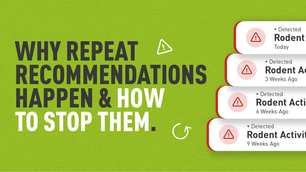 Graphic with the text “Why repeat recommendations happen & how to stop them.” alongside a series of recurring rodent activity alerts, illustrating repeated issues detected over several weeks.