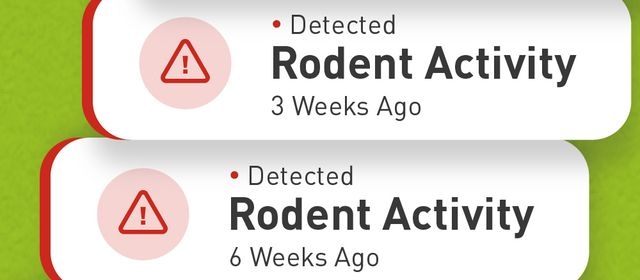 Graphic with a series of recurring rodent activity alerts, illustrating repeated issues detected over several weeks.