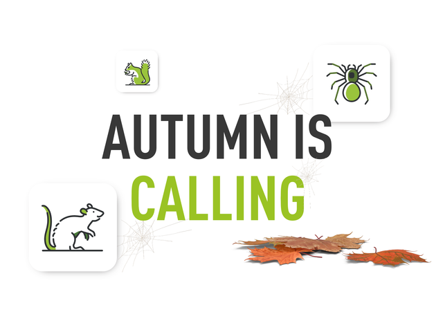 The text Autumn is calling with decorative icons, webs and leaves